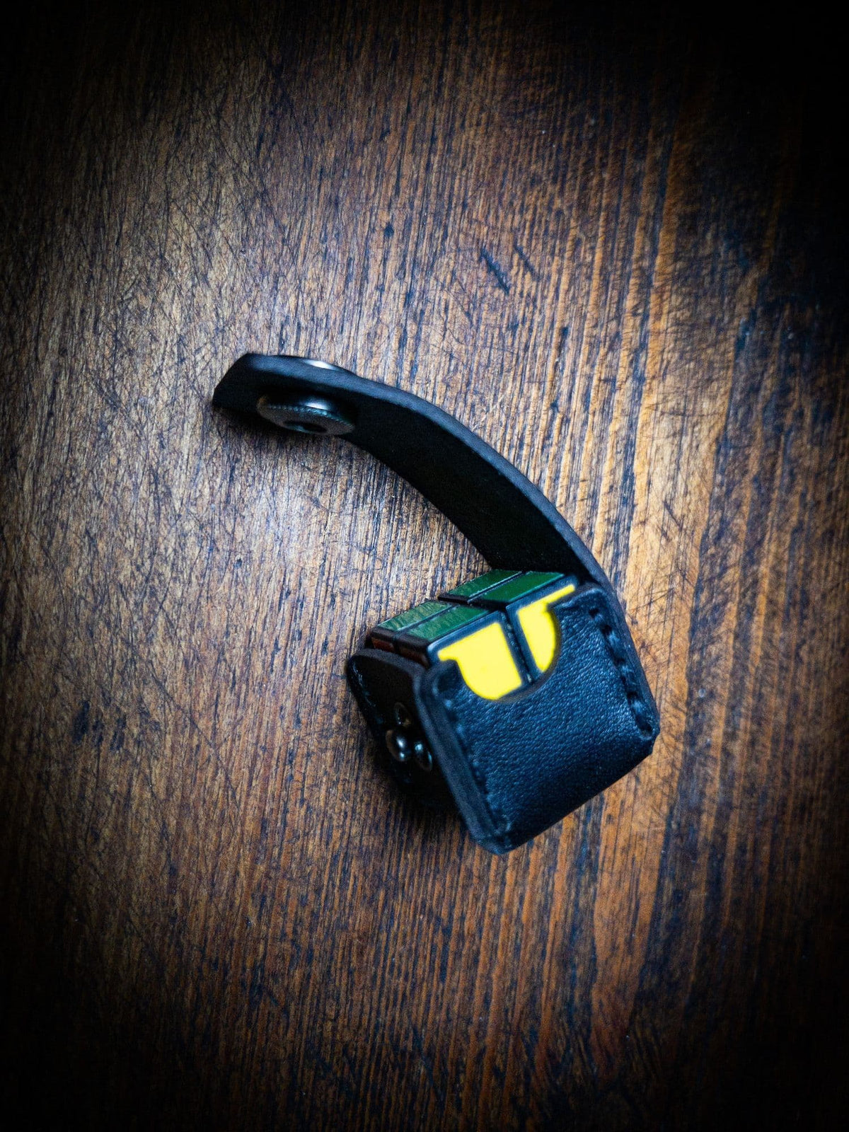 Case for MD Mini