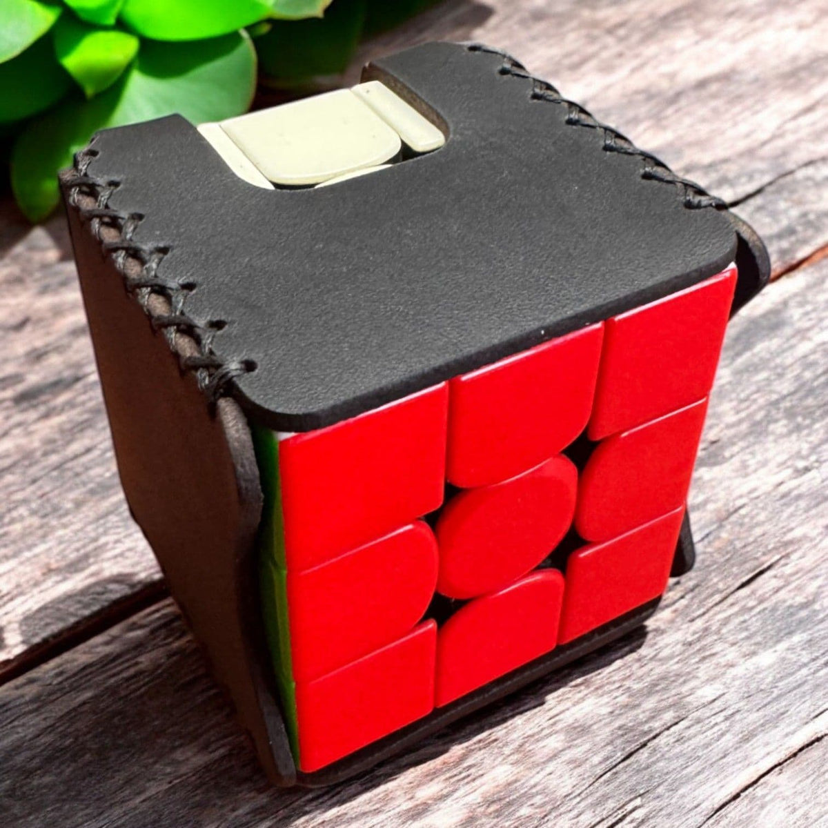 Push & Go Rubiks Cube Holster